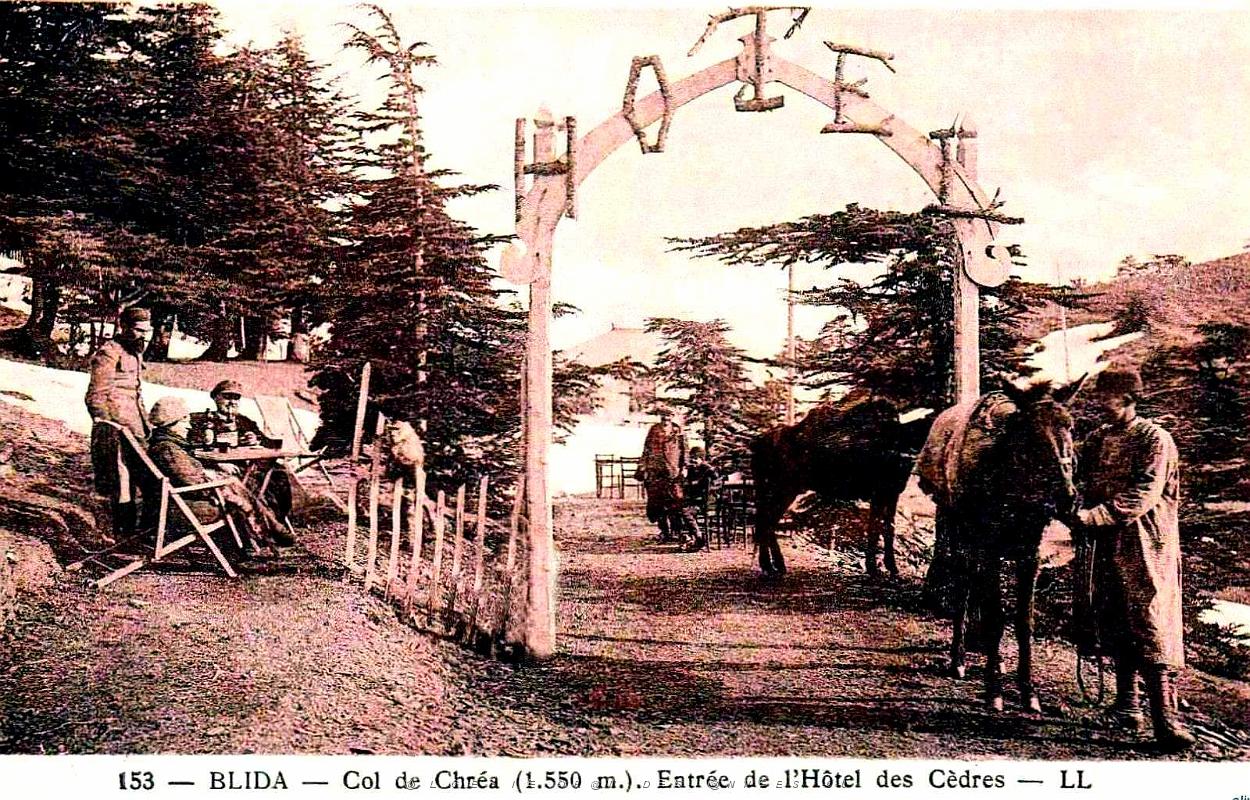 Blida-Chrea - Hotel des Cedres.jpg